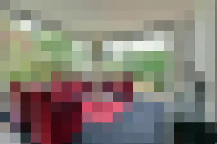 Coba Ritsemahof 11 Amstelveen thumbnail 5