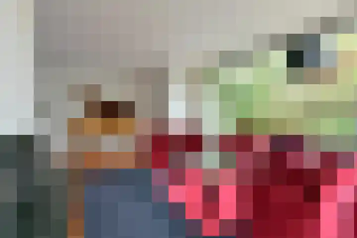 Coba Ritsemahof 11 Amstelveen thumbnail 6