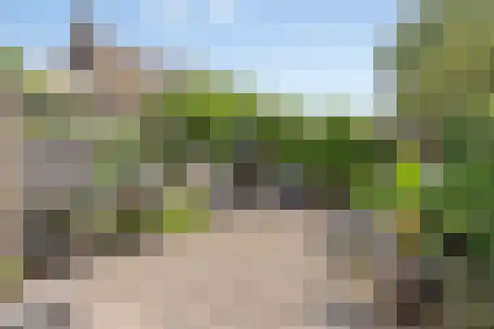 Coba Ritsemastraat 11 Woerden thumbnail 11