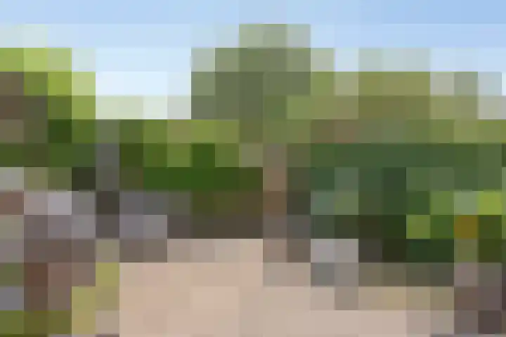 Coba Ritsemastraat 11 Woerden thumbnail 12
