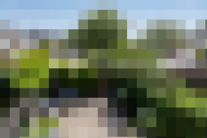 Coba Ritsemastraat 11 Woerden thumbnail 25