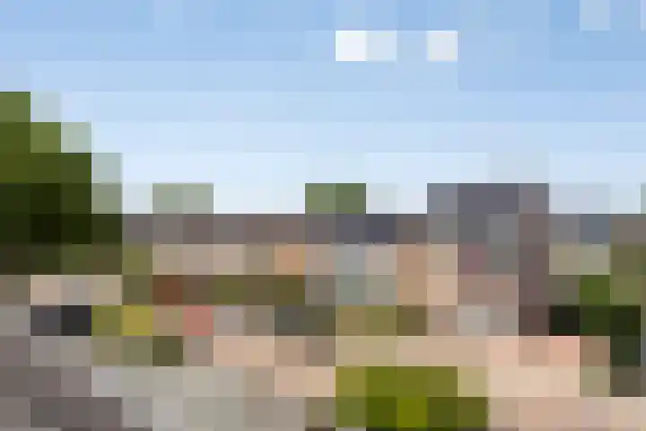 Coba Ritsemastraat 11 Woerden thumbnail 32