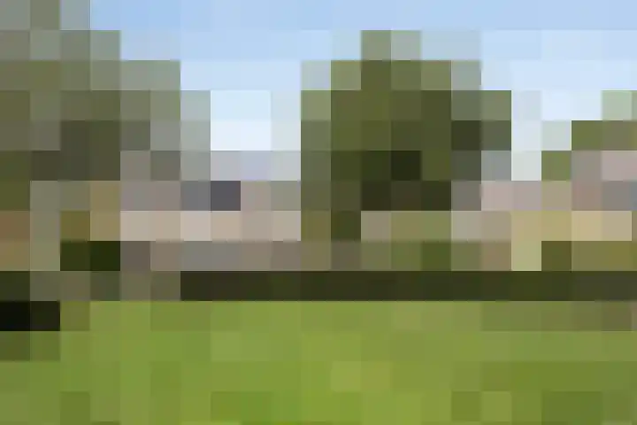 Coba Ritsemastraat 11 Woerden thumbnail 38