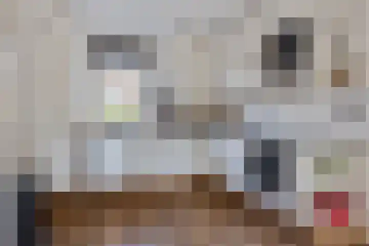 Coba Ritsemastraat 11 Woerden thumbnail 9