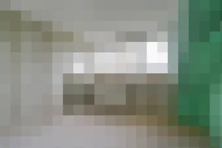 Coba Ritsemastraat 23 Pijnacker thumbnail 28