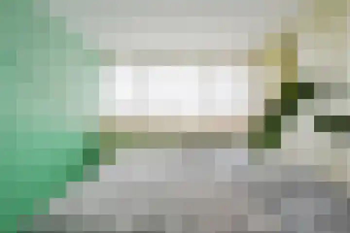 Coba Ritsemastraat 23 Pijnacker thumbnail 31