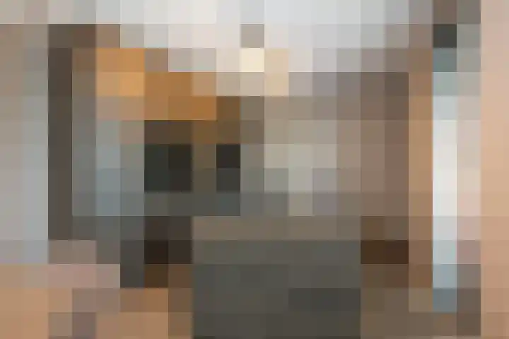 Coba Ritsemastraat 28 Hengelo thumbnail 15