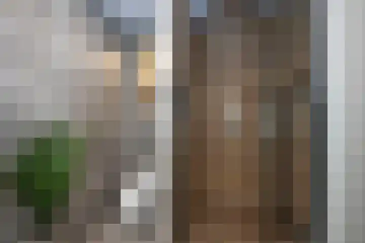 Coba Ritsemastraat 28 Hengelo thumbnail 25