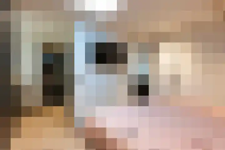 Cobbejennegats 6 Gulpen thumbnail 13