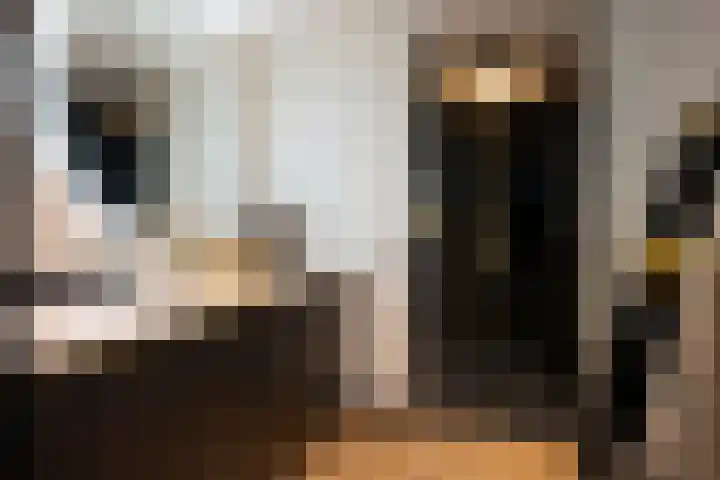 Cobbejennegats 6 Gulpen thumbnail 14