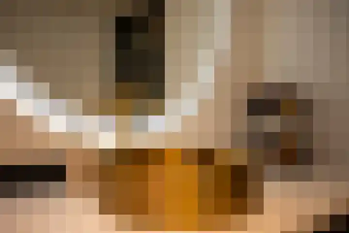 Cobbejennegats 6 Gulpen thumbnail 15