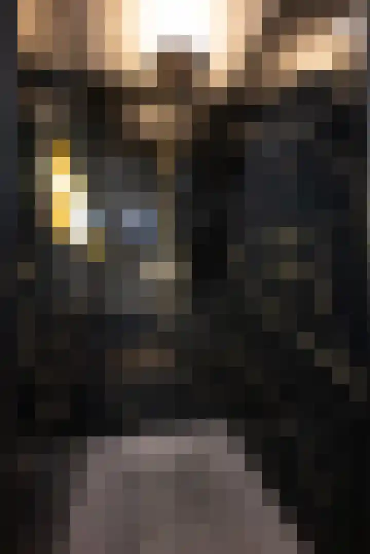 Cobbejennegats 6 Gulpen thumbnail 16