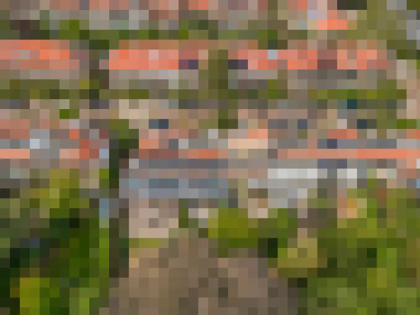 Cobetstraat 12 Leiden thumbnail 37