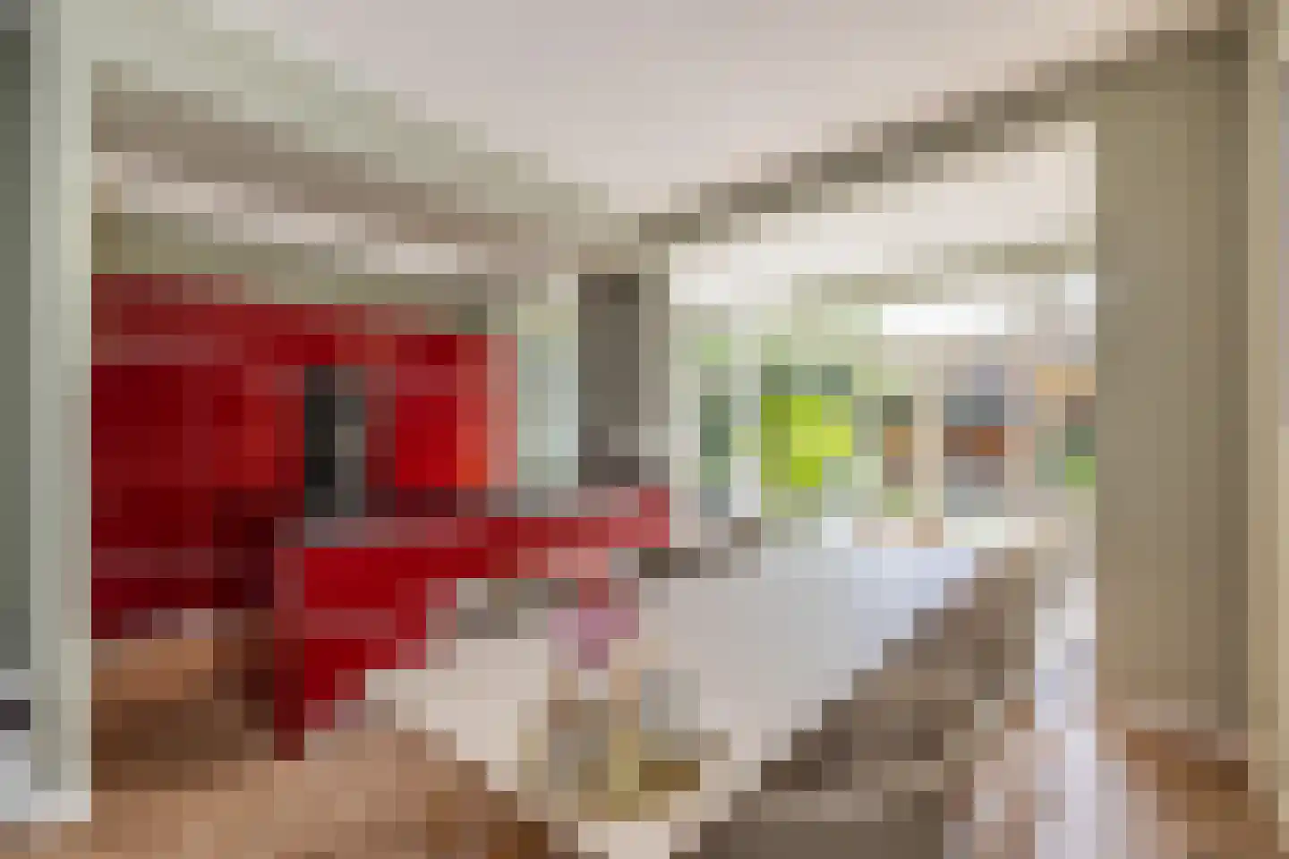 Cobetstraat 42 Leiden thumbnail 17