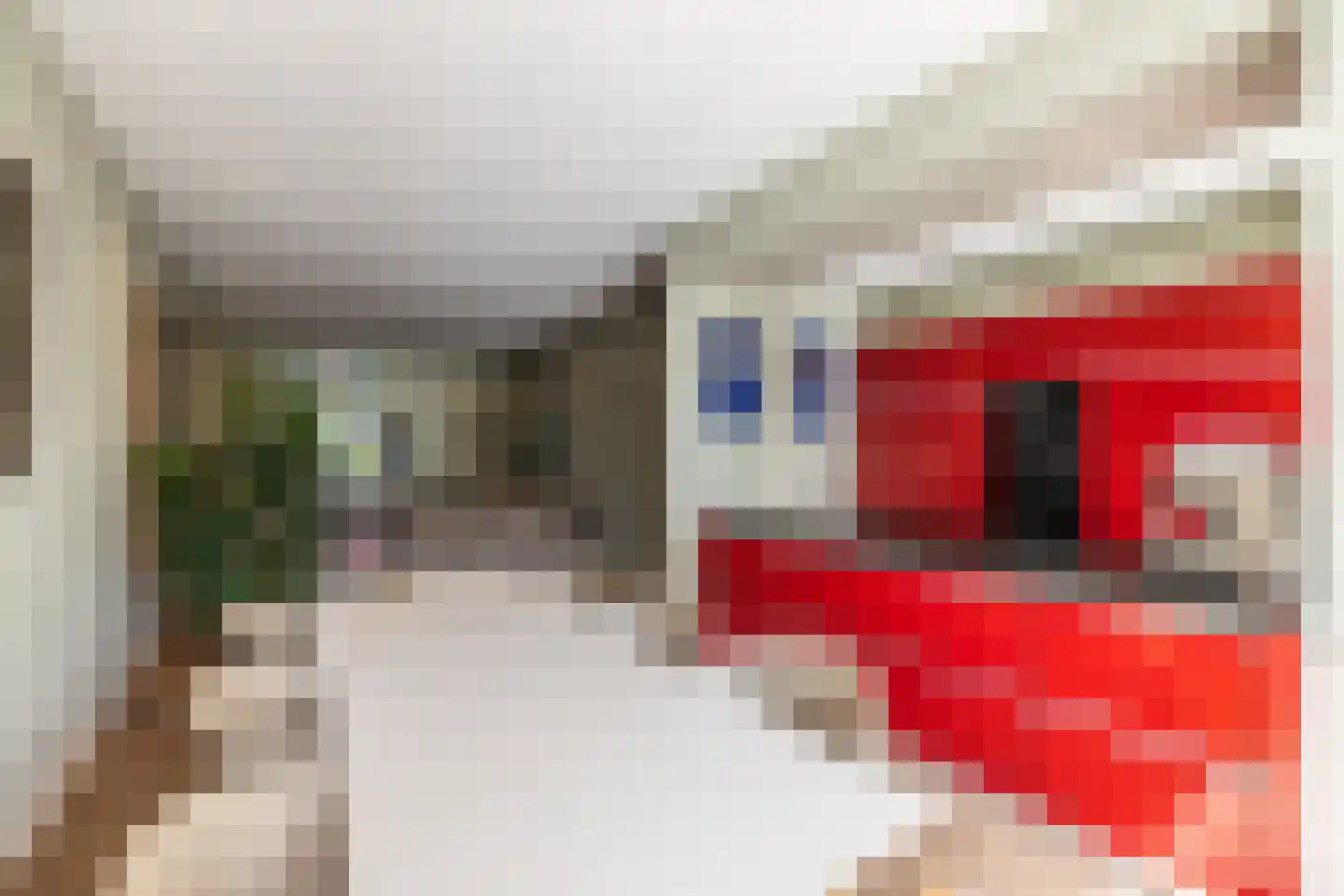Cobetstraat 42 Leiden thumbnail 18