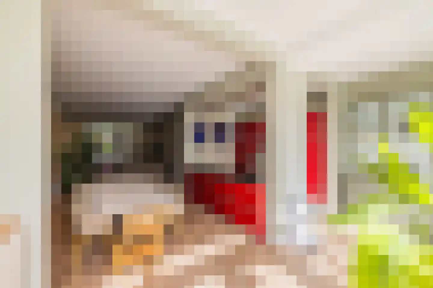 Cobetstraat 42 Leiden thumbnail 22