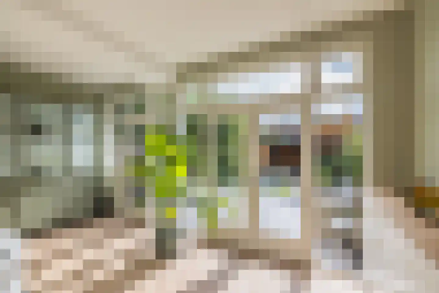 Cobetstraat 42 Leiden thumbnail 23