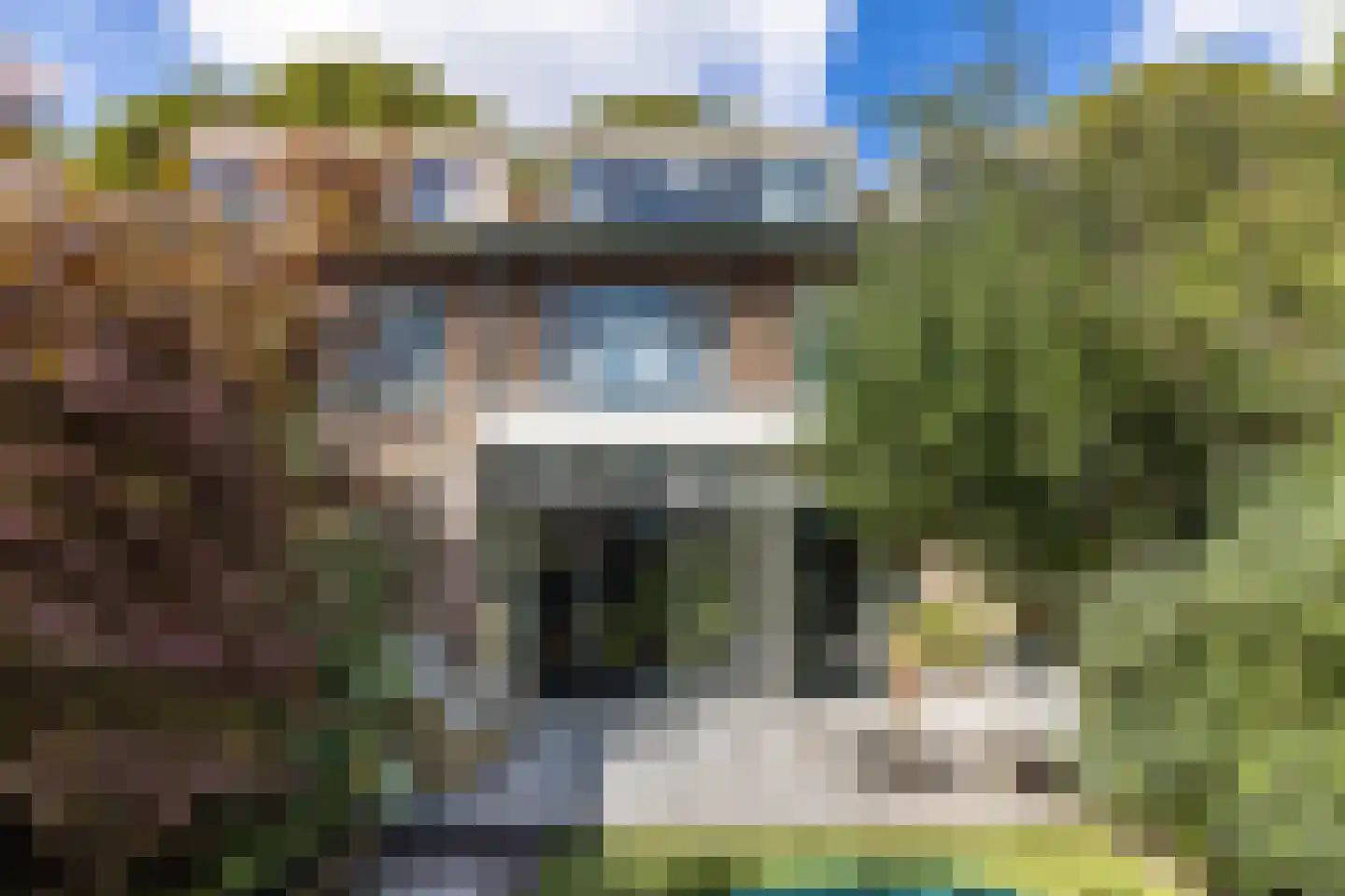 Cobetstraat 42 Leiden thumbnail 28