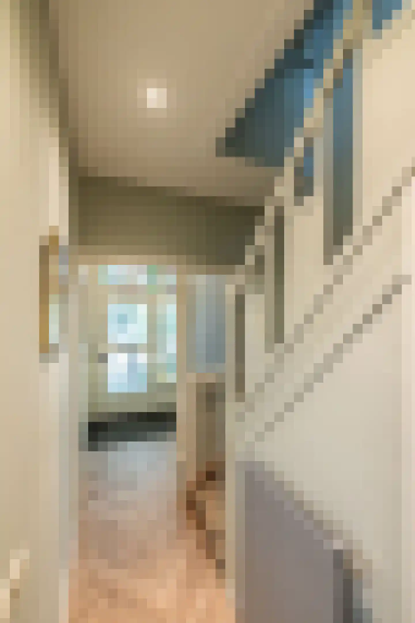 Cobetstraat 42 Leiden thumbnail 38