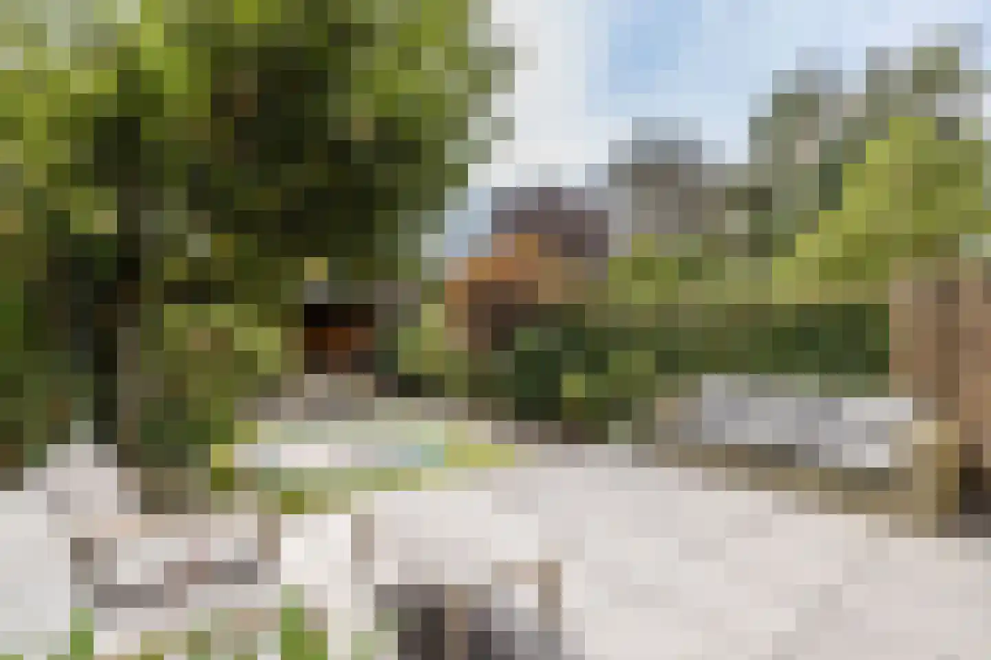 Cobetstraat 42 Leiden thumbnail 4