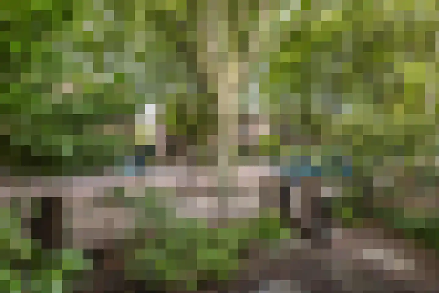 Cobetstraat 42 Leiden thumbnail 7