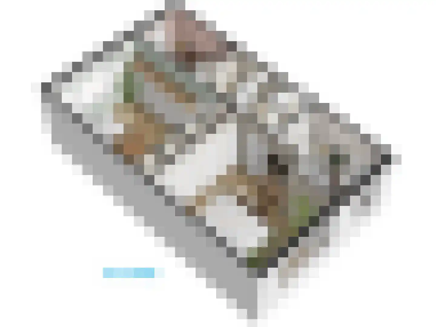 Cobetstraat 42 Leiden thumbnail 78