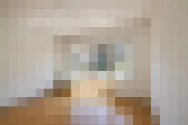 Cobetstraat 48 Leiden thumbnail 34