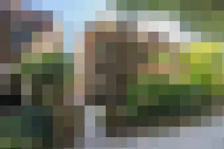 Cobetstraat 48 Leiden thumbnail 5