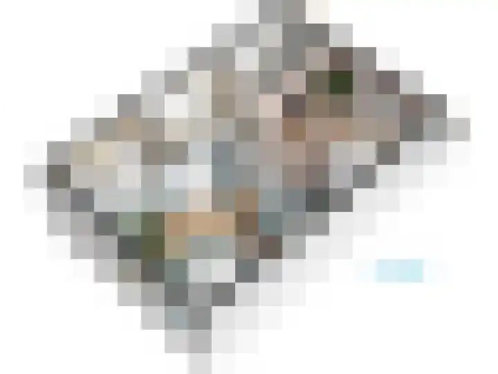 Cobetstraat 48 Leiden thumbnail 69