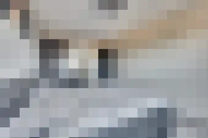 Cobra 52 Dronten thumbnail 17