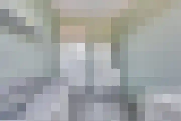 Cobra 52 Dronten thumbnail 21