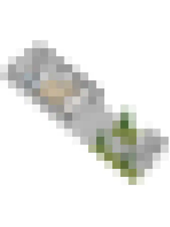 Cobra 52 Dronten thumbnail 46