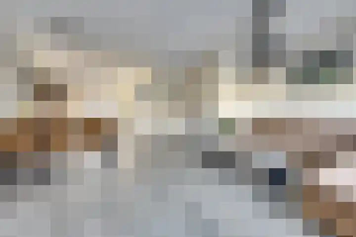 Cobra 52 Dronten thumbnail 7