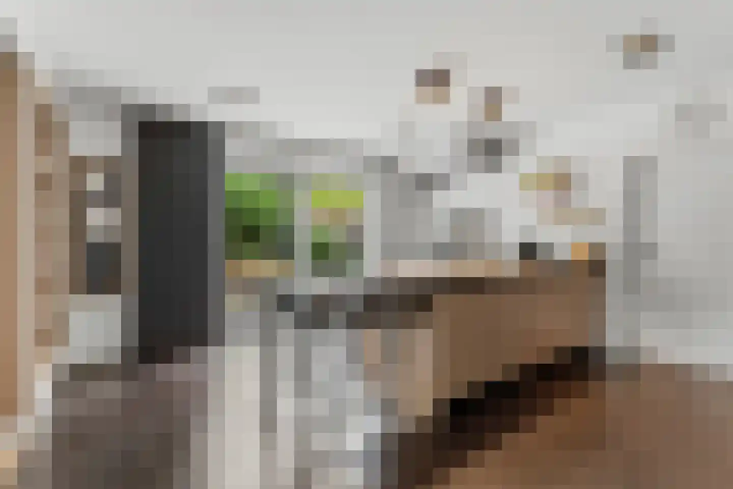 Cobrastraat 15 Almere thumbnail 11