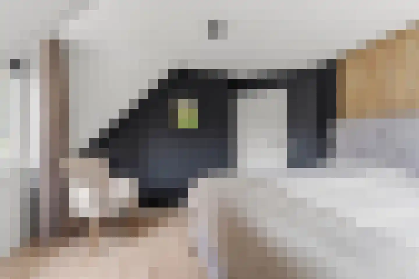 Cobrastraat 15 Almere thumbnail 33