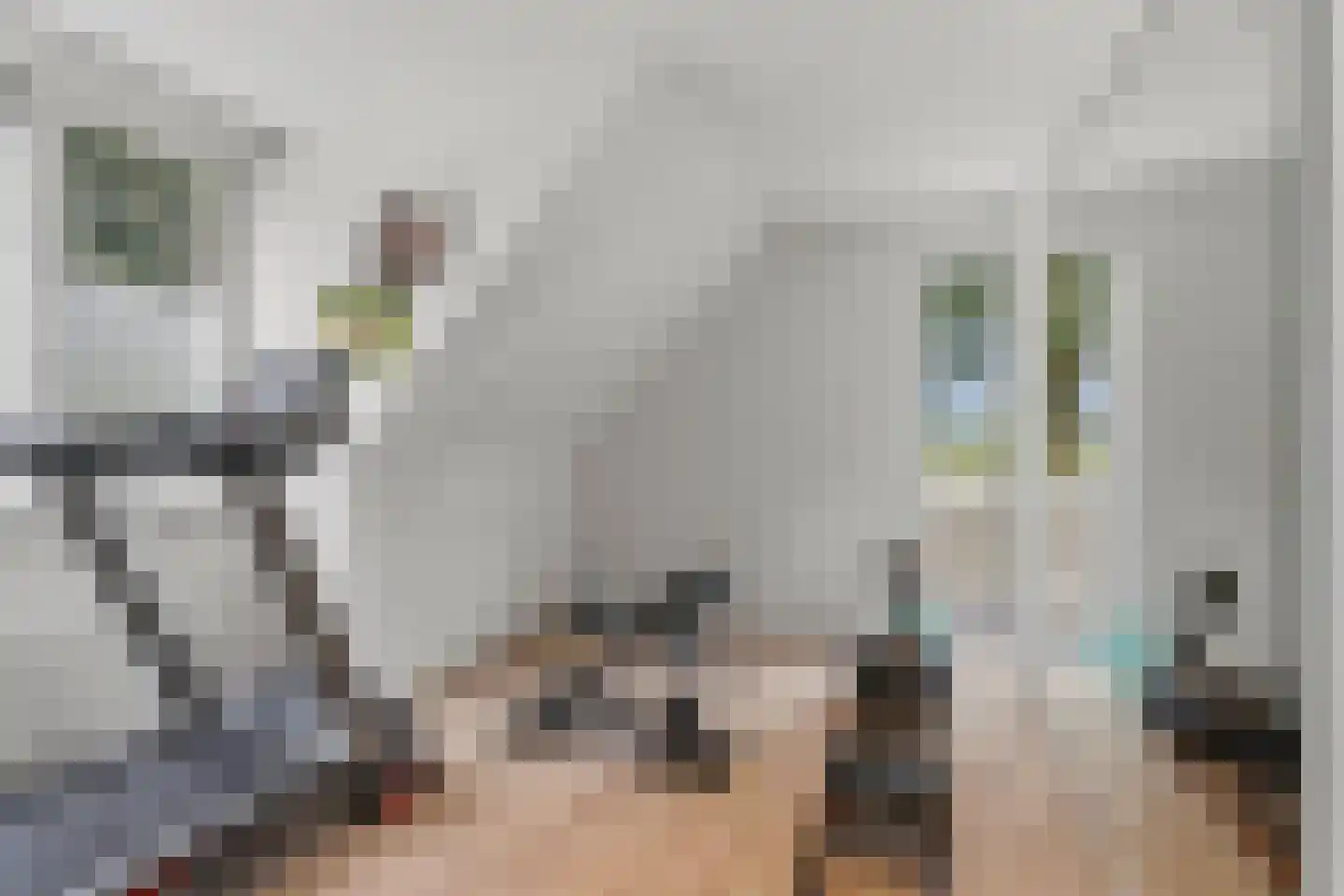 Cobrastraat 15 Almere thumbnail 34