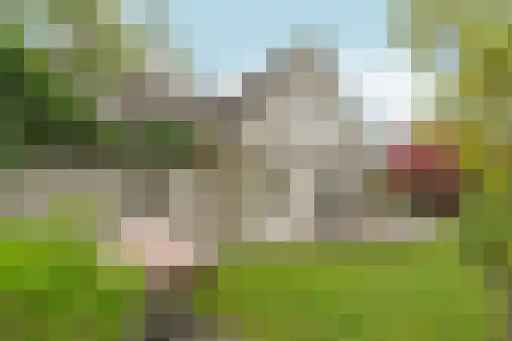Cobrastraat 23 Almere thumbnail 5