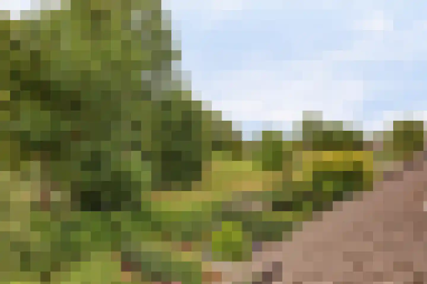 Cochiuslaan 8 Leerdam thumbnail 37