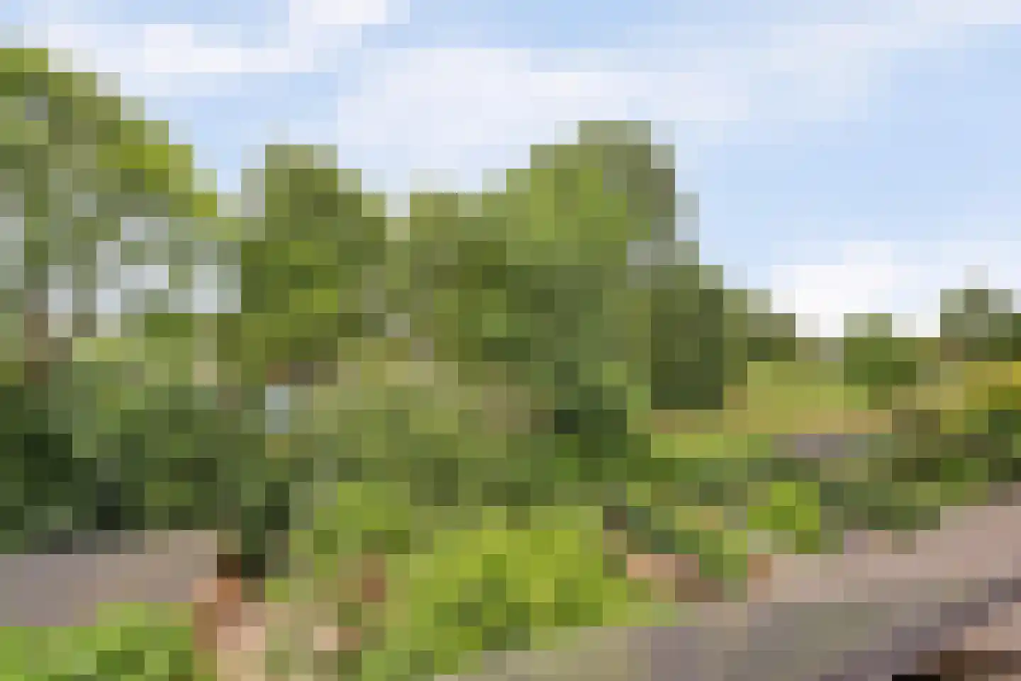 Cochiuslaan 8 Leerdam thumbnail 38