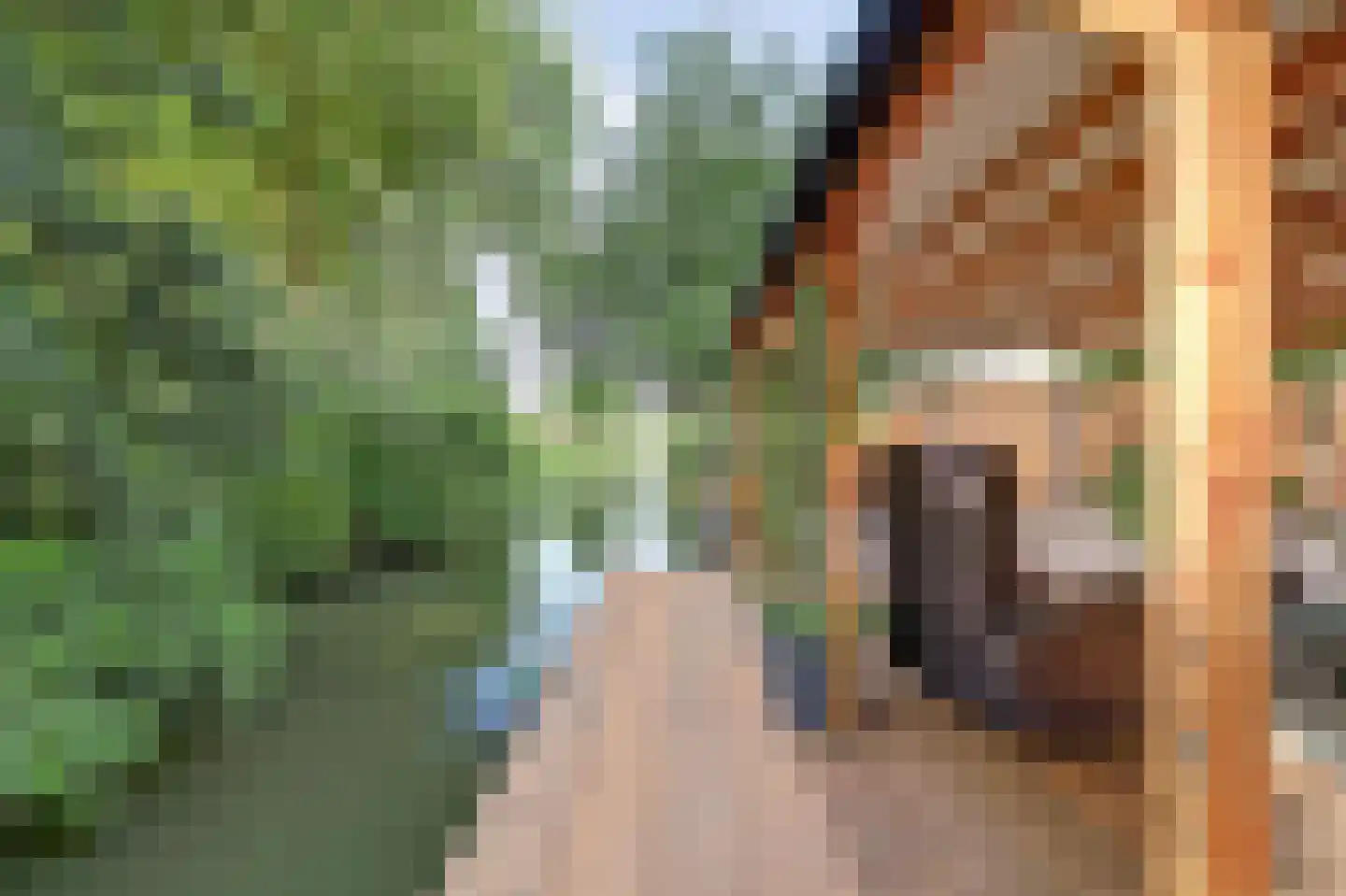 Cochiuslaan 8 Leerdam thumbnail 4