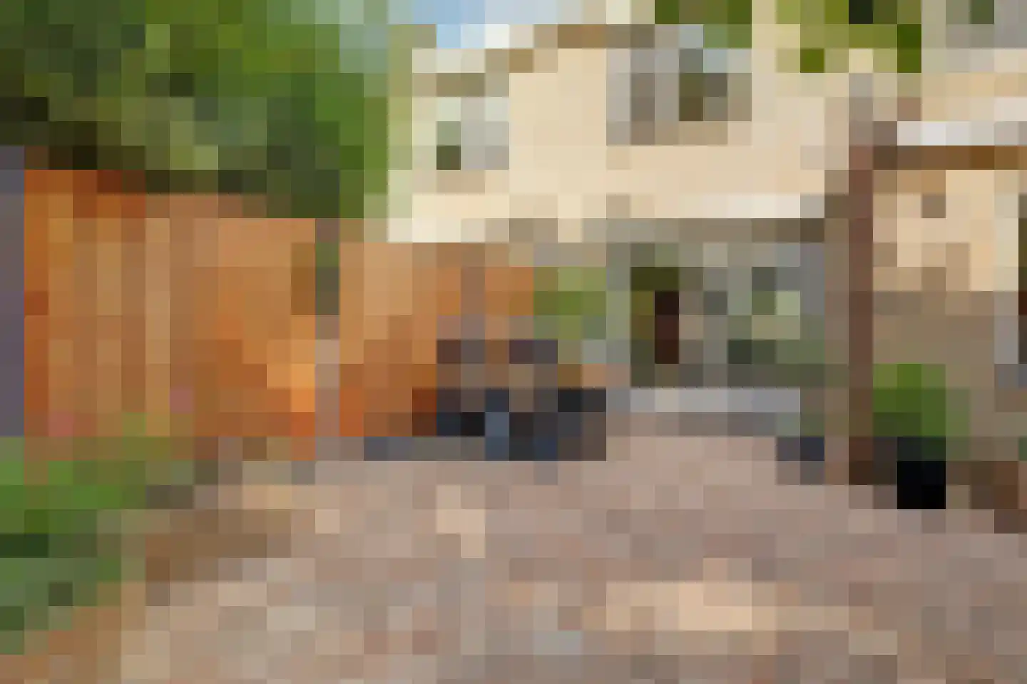 Cochiuslaan 8 Leerdam thumbnail 45