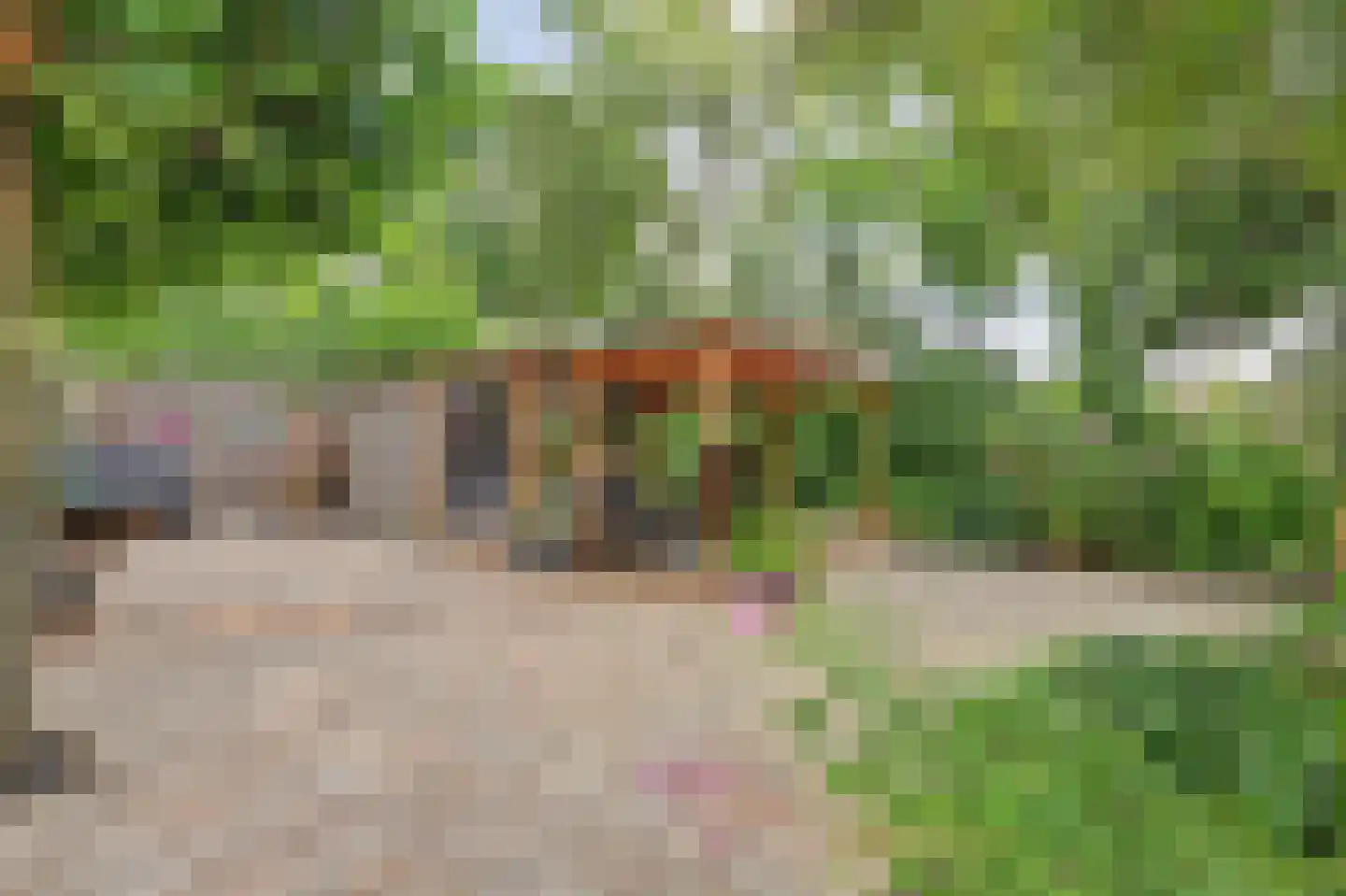 Cochiuslaan 8 Leerdam thumbnail 46