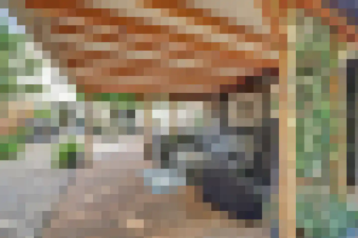 Cochiuslaan 8 Leerdam thumbnail 48