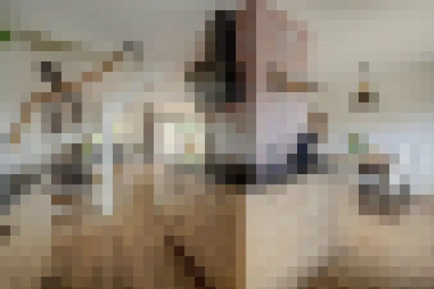 Cochiuslaan 8 Leerdam thumbnail 7