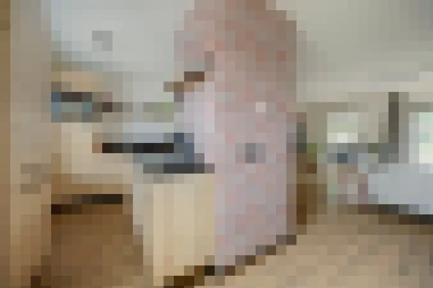 Cochiuslaan 8 Leerdam thumbnail 8
