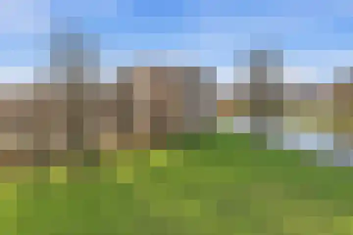 Coebelweg 21 Leiden thumbnail 24