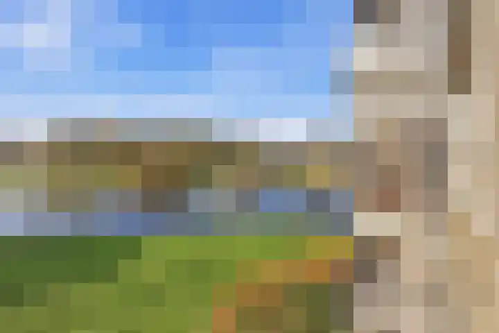 Coebelweg 21 Leiden thumbnail 4