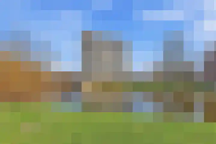 Coebelweg 21 Leiden thumbnail 5