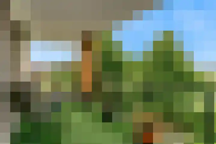Coebelweg 243 Leiden foto 3
