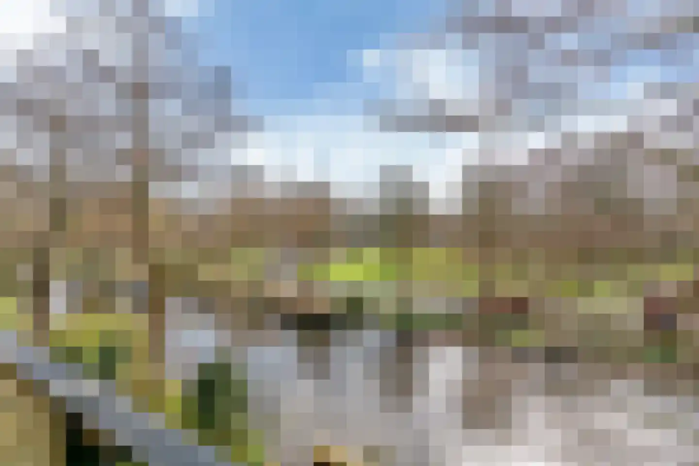 Coebelweg 249 Leiden thumbnail 29